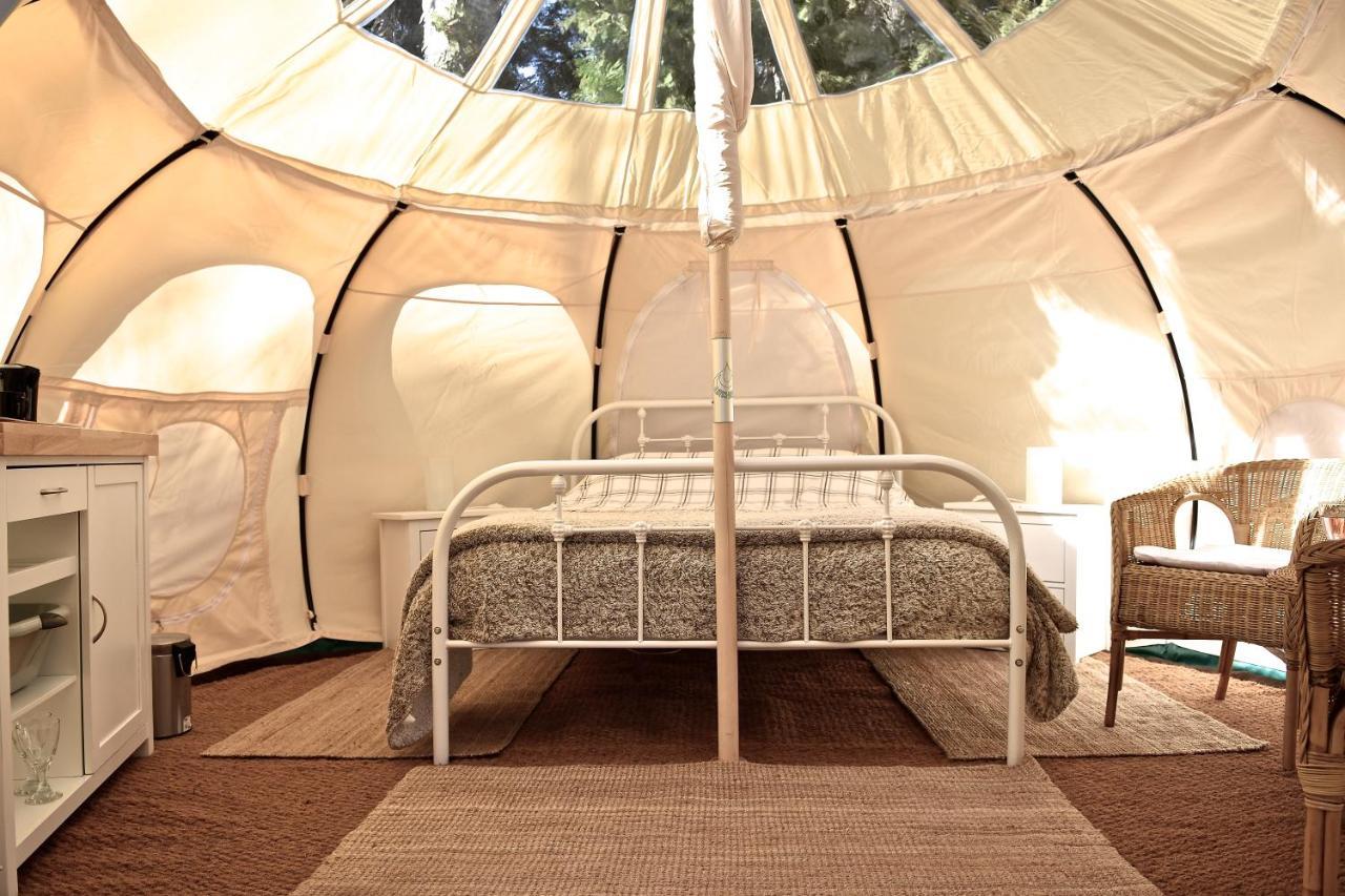 Glamping At Camping La Source Saint-Pierre-d'Argencon Екстер'єр фото