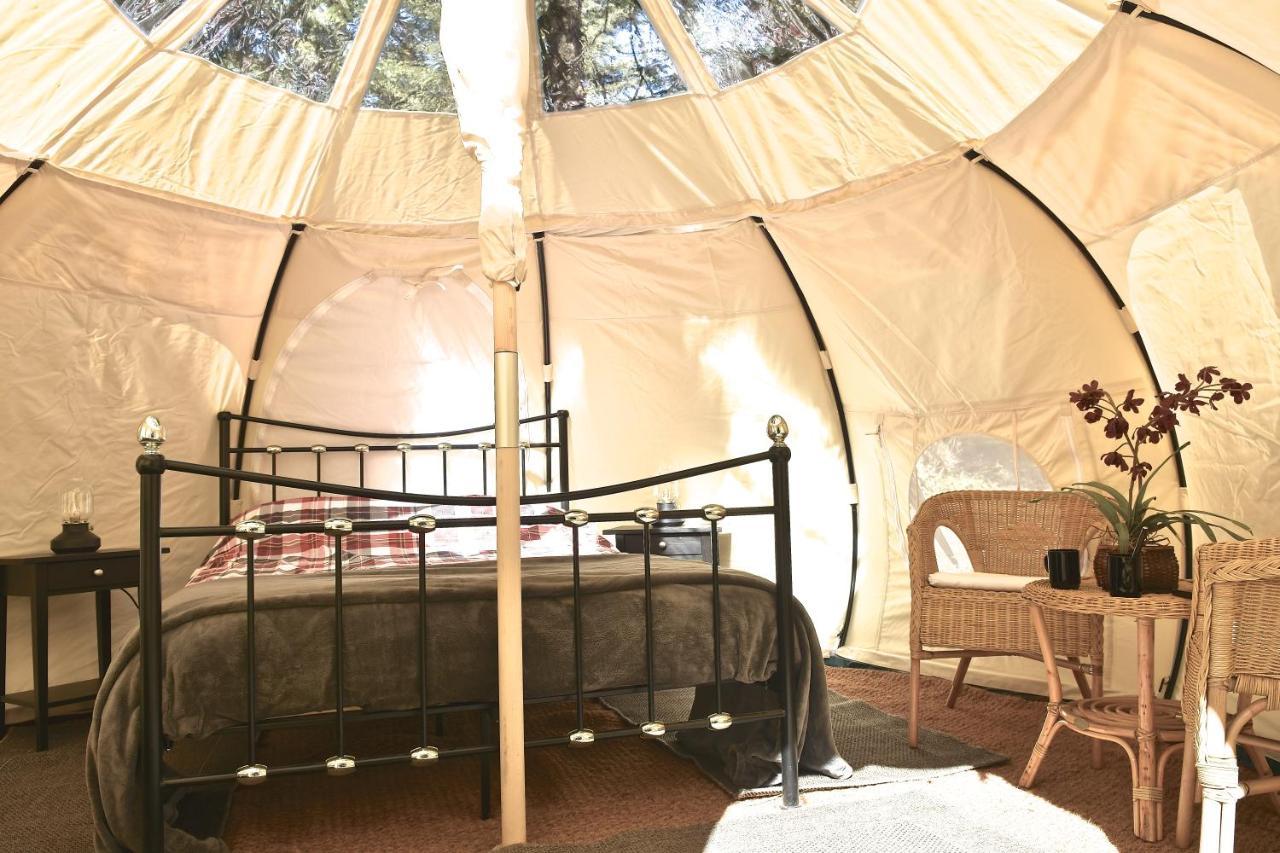 Glamping At Camping La Source Saint-Pierre-d'Argencon Екстер'єр фото